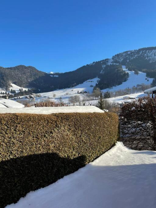 Charmant Studio + Jardin Vue Pistes Et Local Velo Пра-сюр-Арлі Екстер'єр фото