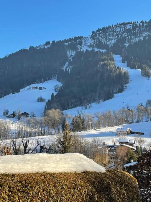 Charmant Studio + Jardin Vue Pistes Et Local Velo Пра-сюр-Арлі Екстер'єр фото